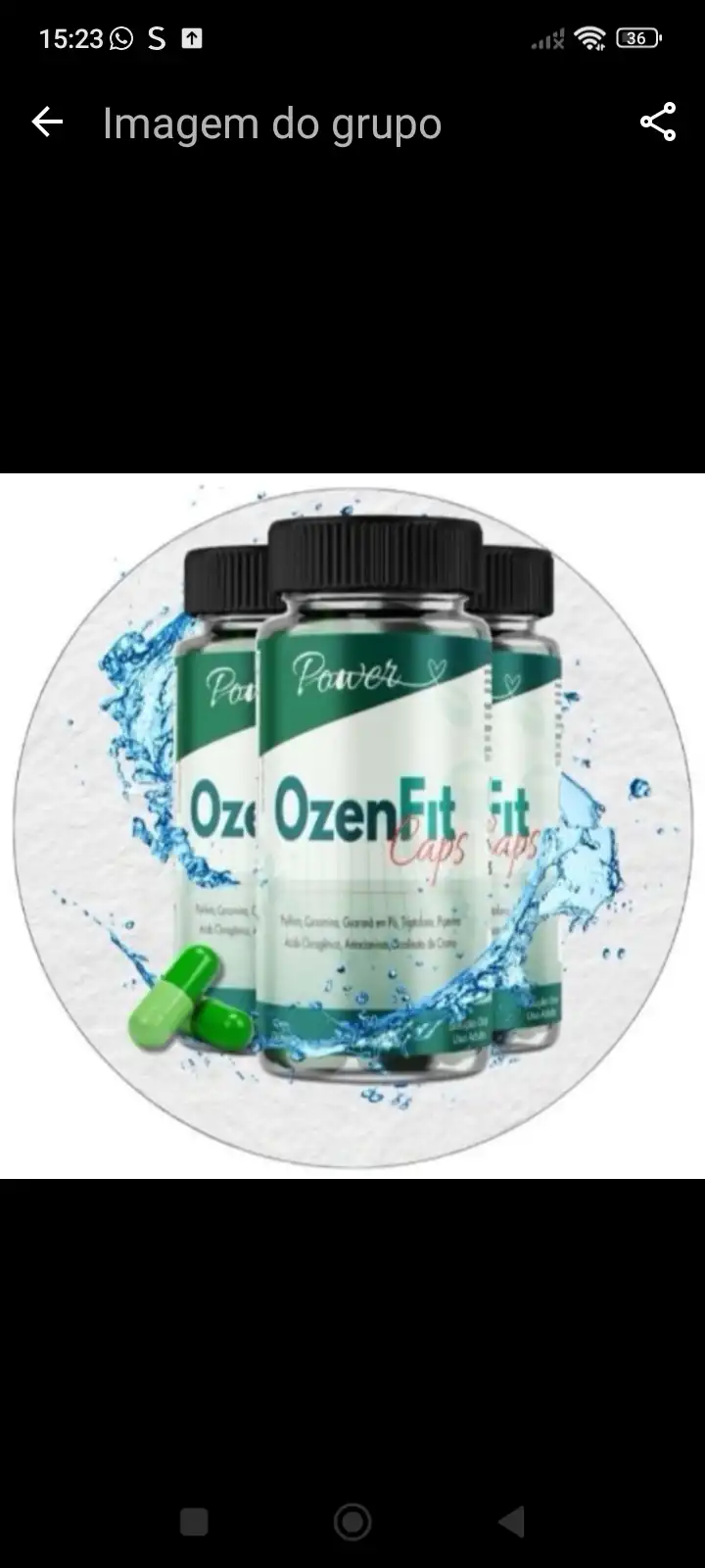 Ozenfit Original